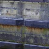 Défenses en caoutchouc SD